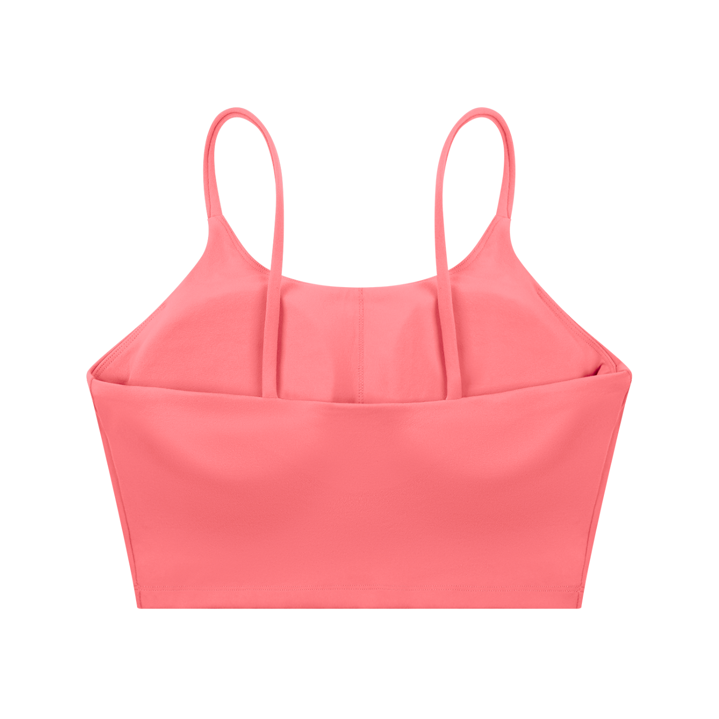 Workout